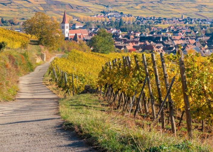 Elsass - Weinberg - Pixabay - (c) Bonat Elsass - Weinberg - Pixabay - (c) Bonat