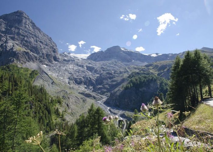 Südtirol - Ortler - Pixabay - (c) gavia26210