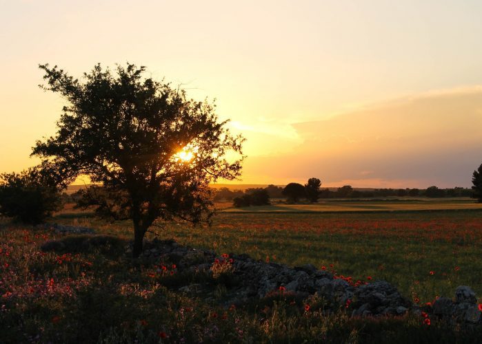 Apulien - Landschaft - Pixabay - (c) davideroppo